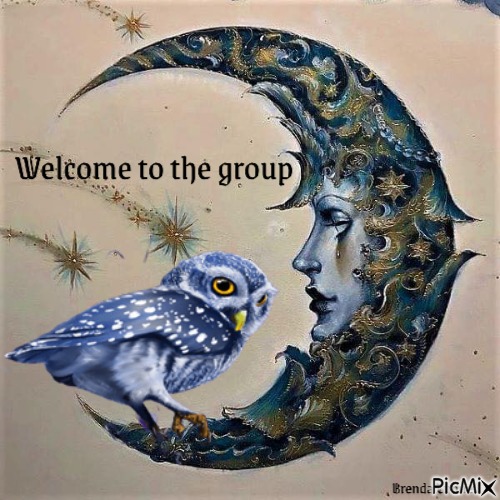 welcome owl - gratis png