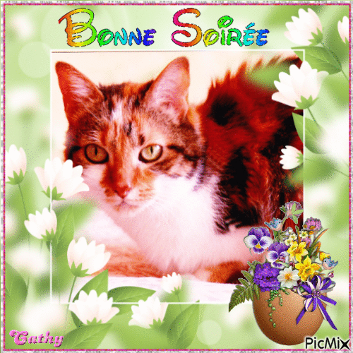 BONNE SOIREE - Δωρεάν κινούμενο GIF