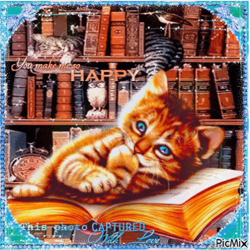 Cat and a book - Δωρεάν κινούμενο GIF