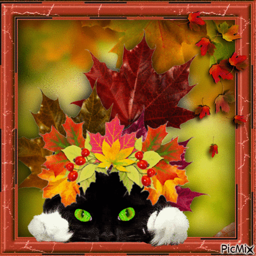 autumn )) ))) - Ücretsiz animasyonlu GIF