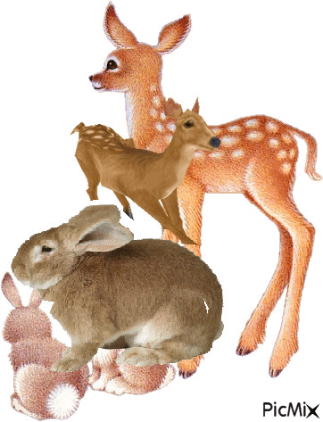 Conejos y ciervos - GIF animé gratuit