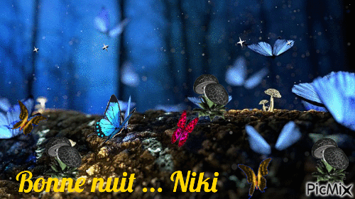 Bonne nuit .. Niki - Ücretsiz animasyonlu GIF