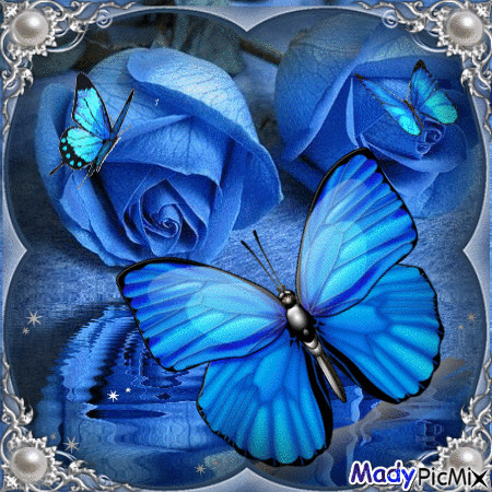 Papillon bleu - Бесплатный анимированный гифка