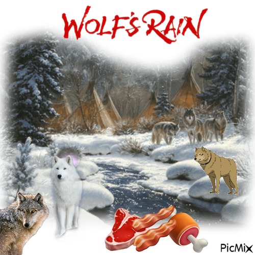 Wolfs Rain In Wisconsin - gratis png