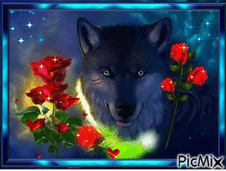 Blue Wolf2 - Animovaný GIF zadarmo