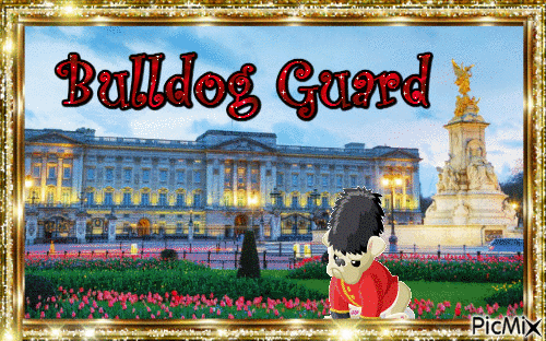 bulldog guard - Бесплатный анимированный гифка