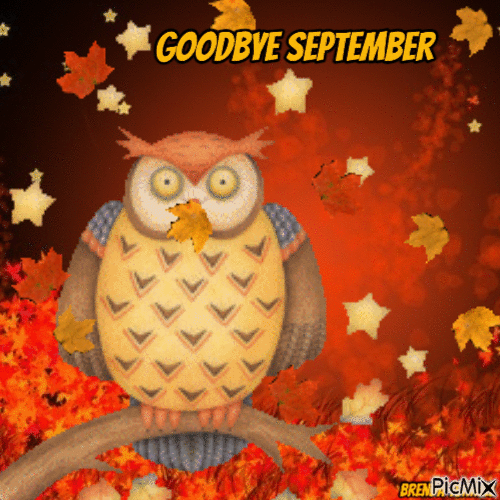 Goodbye September owl - GIF animasi gratis