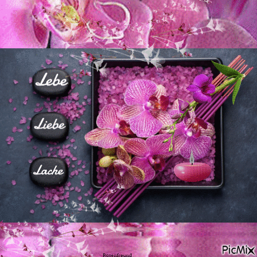 Lebe--Liebe--Lache - Бесплатный анимированный гифка