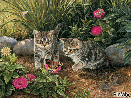 chatons qui jouent avec les papillons - Ingyenes animált GIF
