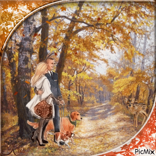 Promenade dans la forêt en automne - Ingyenes animált GIF