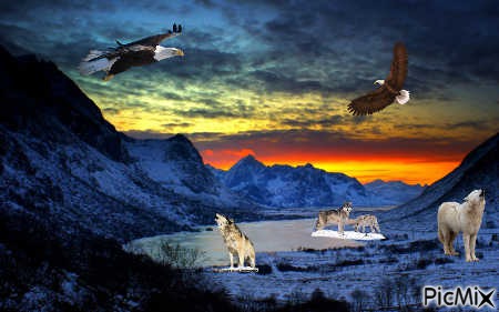 wolves w/ eagles - PNG gratuit