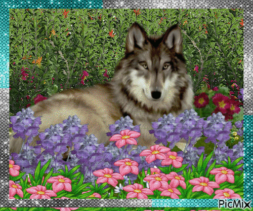 WOLF AND FLOWER - GIF animado gratis