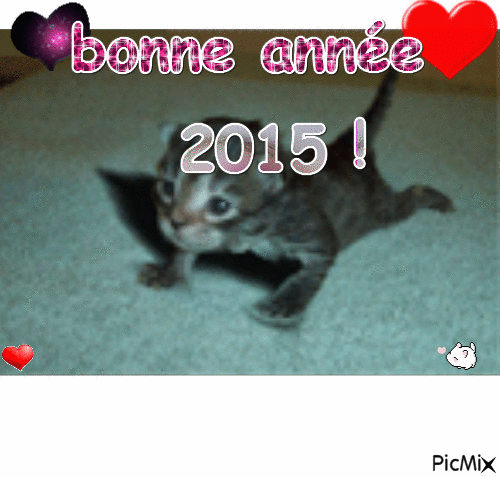 bonne année 2015! - Безплатен анимиран GIF