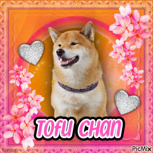 Tofu Chan - Animovaný GIF zadarmo