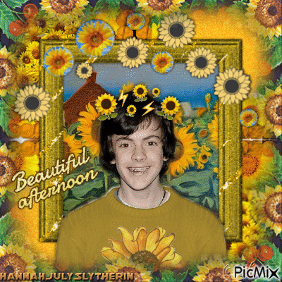 ☼Skandar & Sunflowers - Beautiful Afternoon☼ - GIF animado gratis