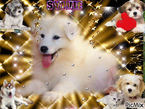 chiens ma création a partager sylvie - GIF animate gratis