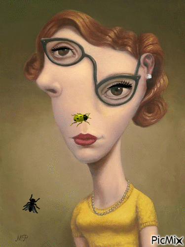 Mariquita y mosca - Animovaný GIF zadarmo
