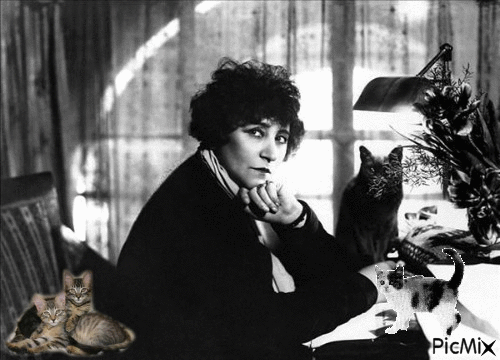 Colette et ses chats - Darmowy animowany GIF