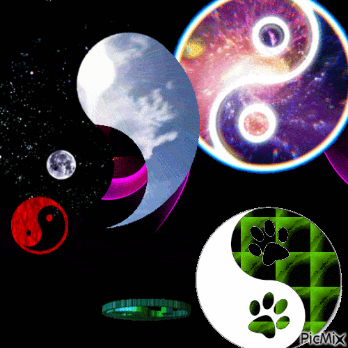 Yin Yangs - 無料のアニメーション GIF