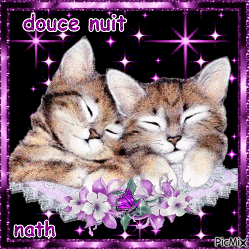 les chats concours - 免费动画 GIF
