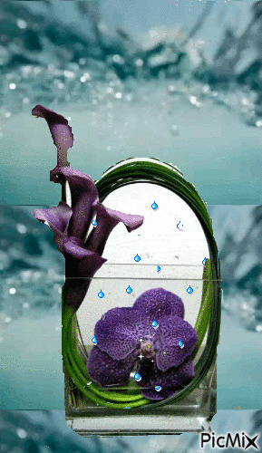 eau - Bezmaksas animēts GIF