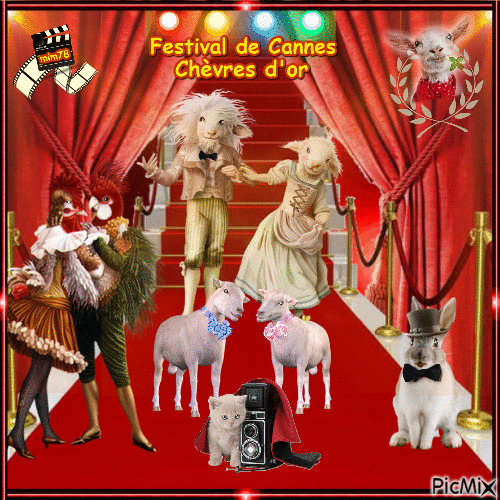 chèvres au festival de cannes - GIF animé gratuit