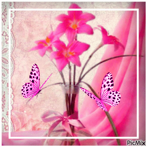 Les papillons ....concours - Δωρεάν κινούμενο GIF