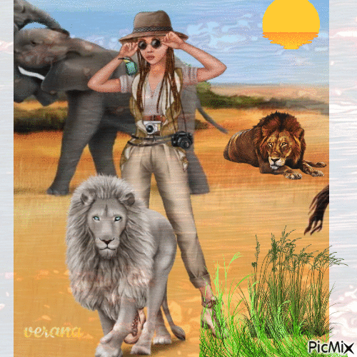 safari - Бесплатный анимированный гифка