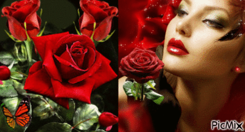 рози - Ilmainen animoitu GIF