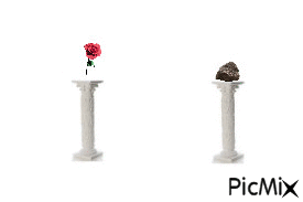 EPI énigme pierre et rose - Δωρεάν κινούμενο GIF