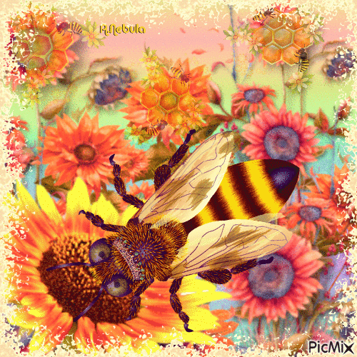 Queen bee - Бесплатни анимирани ГИФ