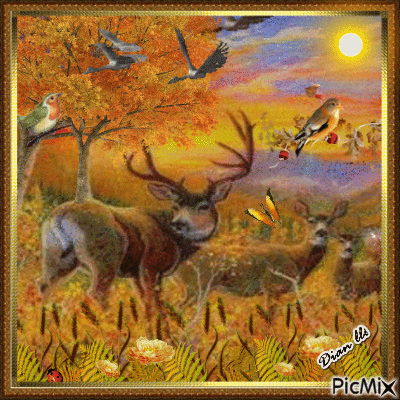 Deers in Nature.. - GIF animado gratis