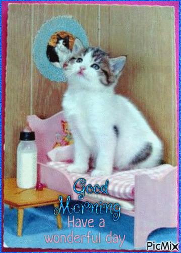Good Morning, kitten - Free animated GIF
