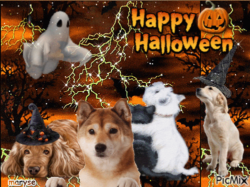 dog halloween - Zdarma animovaný GIF
