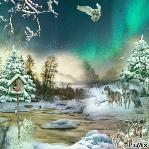 Unsere wunderschöne Natur, Polarlichter - GIF animado gratis