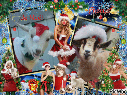 les chèvres de Noël - Gratis geanimeerde GIF