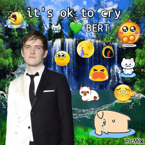 its ok to cry bert - Gratis animeret GIF