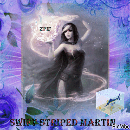 Swift Striped Martin - 無料のアニメーション GIF