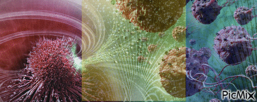 Microbes 3 - Free animated GIF