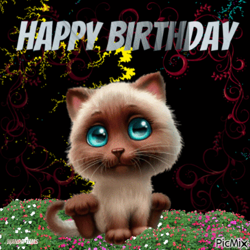 Birthday-cat-flowers - Darmowy animowany GIF