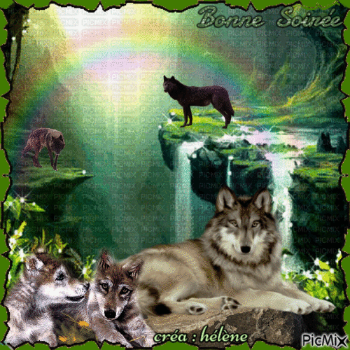 " Les loups près de la cascade "