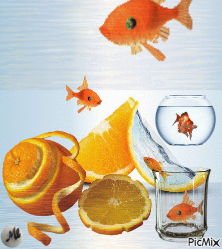 Naranjas y aguas... - Δωρεάν κινούμενο GIF