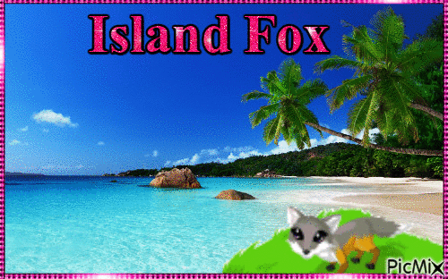 Island Fox - GIF animado grátis
