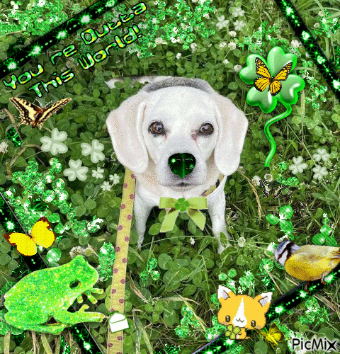 clover beagle - Gratis animerad GIF