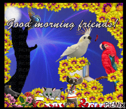 Good Morning Friends - Zdarma animovaný GIF