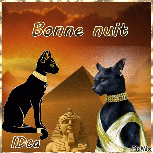 Bonne nuit  les chatons - Безплатен анимиран GIF