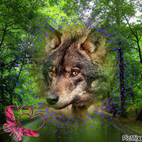 le loup au milieu de la forêt - Free animated GIF