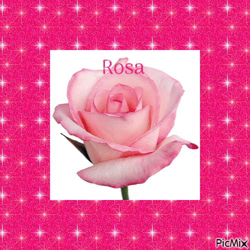 Rosa - GIF animate gratis
