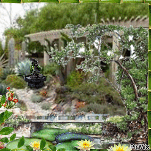 Jardin de succulentes - 免费动画 GIF