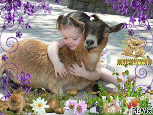 la chèvres et la petite fille - Безплатен анимиран GIF